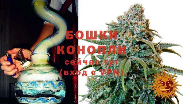 СК Каменногорск