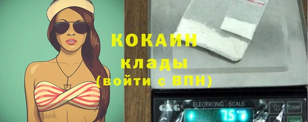 гидра Каменск-Шахтинский