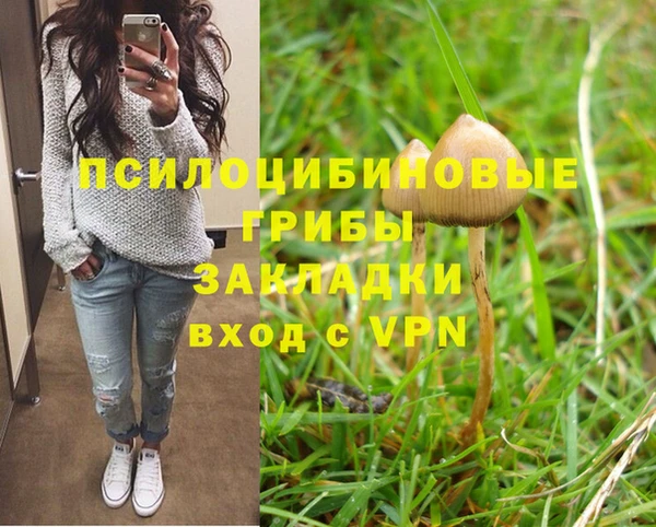 эйфоретик Касимов
