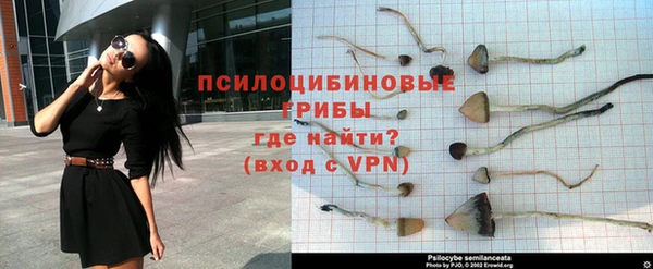 гидра Каменск-Шахтинский