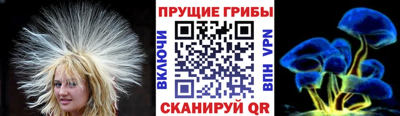 Псилоцибиновые грибы мицелий  blacksprut   Тюкалинск 